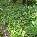 술 도둑놈 이미지