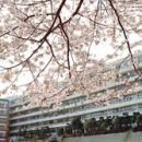 부산컴퓨터 과학고교2 이미지