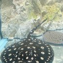 서아목장 이미지