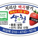 청애농장 Daum카페