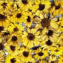 정석이비인후과의원 이미지