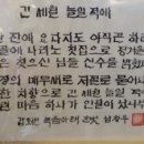 나리노