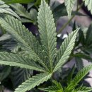 첨단 우리약국 이미지