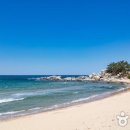 동산리 해수욕장 화장실 이미지