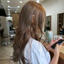 해찬솔어린이집 | 제주 호미헤어에서 탈색없이 애쉬브라운 밝게 염색하고 왔어요 feat. 시아선생님