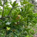 아름파크(아름모텔) | 서귀포 감성 숙소 제주 한라궁 호텔 솔직 후기 _ 예약 팁까지