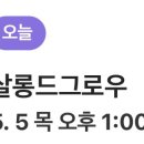 살롱드그로우