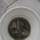 신지면-5 이미지