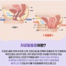 순백의원 이미지