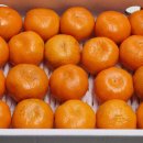 대지농장 이미지