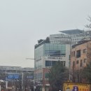 일기] 삼복사골절, APO 발목보조기 6개월 착용후기 : 아주대학교병원 족부클리닉 진료후기 : 박영욱 교수님