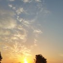 일출로4 이미지