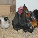 준모농장 이미지