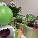 해피마리오 | 두아들 아빠의 4월 맥도날드 마리오 콜라보 해피밀 마리오 요시 키링 피규어 상세 후기