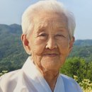 할머니네 강원도민일보
