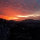 석양 속 생명의 날 이미지