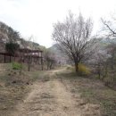 산꽃미술관 이미지