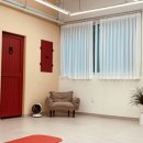 리캔두 컨디셔닝 운동센터 이미지