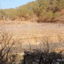 (유)양지아스콘 이미지