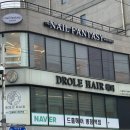 드홀헤어 이미지