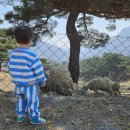 화순목장 이미지