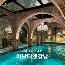 뷰로잉살롱 | 강남 호캉스 추천! 아난티앳강남 캐빈S 후기｜수영장·헬스장·배달 4인 숙박 리뷰