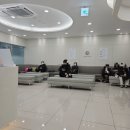 임이비인후과의원 | 무료주차가능한 안성이비인후과 플로우이비인후과 방문후기 진료시간 내부정보