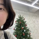 도교헤어살롱 이미지
