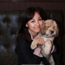 동물보육원 이미지