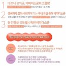미암식품 | [비피러스블로썸] 비피러스 블로썸 K (어린이용) 국내 유일 특허 비피더스 유산균 - 개봉기-