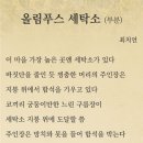 부부세탁소 이미지