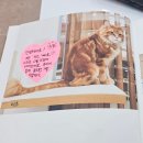 쿤이네집 이미지