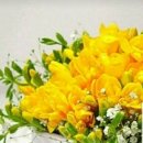 행복한하루 이미지