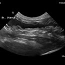 녹양동물병원 이미지