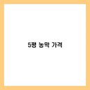 (합)두물지하수개발 | 5평 농막 가격, 추가 비용까지 고려한 최종 견적 3가지 전격 비교