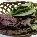수궁횟집 - 순천시 남신월길 33 | 수궁횟집