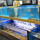 광동수산 이미지