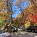 신현로 | 경기 광주 단풍 뷰맛집 카페 스멜츠 솔직후기 재방문 없음