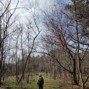 홍성군 광천문예회관 | 동서트레일 11구간 - 홍성 숲길 방문자 센터~상담마을 주차장