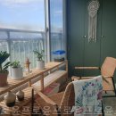 도화체육관 이미지