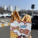 첫 대전 여행 언니랑 데이트 대전역 신도칼국수 서점 다다르다 중앙시장 풍류소제 초미당 태평소국밥
