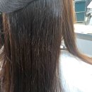 데인티:섬세한 | 녹은머리 손상된 머리 복구펌 시술 후기