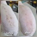 오도독뽀도독 이미지