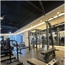 다짐핏헬스 이미지