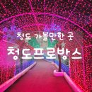 청도 가볼만한 곳, 데이트 장소 반짝 반짝 불빛이 예쁜 &#34;프로방스&#34;솔직 후기