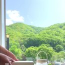 알로라상점