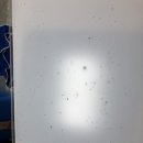 지인클린 네이버블로그