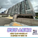 대주아파트 102동 앞 | 은평구 방충망 신사동 대주파크빌 아파트 모노필라멘트 미세 방충망 교체 시공