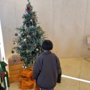 디카프리 완산 이미지