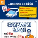 운전자보험 월1만원의 행복 플랜/현대해상 자동차사고벌금 추가담보 출시안내 이미지